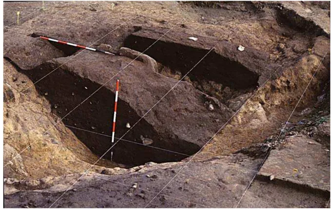 Fig. 8 - Struttura 153  S TRUTTURA  157