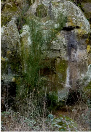 Fig. 2. Necropoli rupestre di Nor- Nor-chia, “finta porta” scolpita nel tufo. 