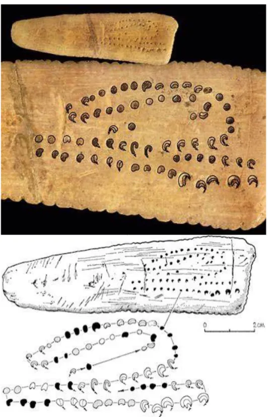 Fig. 1. Osso di cervo, proveniente dalla grotta Blanchard, in Dordogna (Francia), con 69 incisioni risalenti al  Paleolitico superiore (scavo L