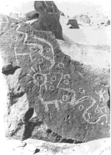 Fig. 6. Petroglifo peruviano del IX sec. d.C., con 13 simboli certamente indicanti la metà del ciclo lunare,  intramezzati a un serpente, a indicare la periodicità, e a raffigurazioni propiziatorie per la caccia