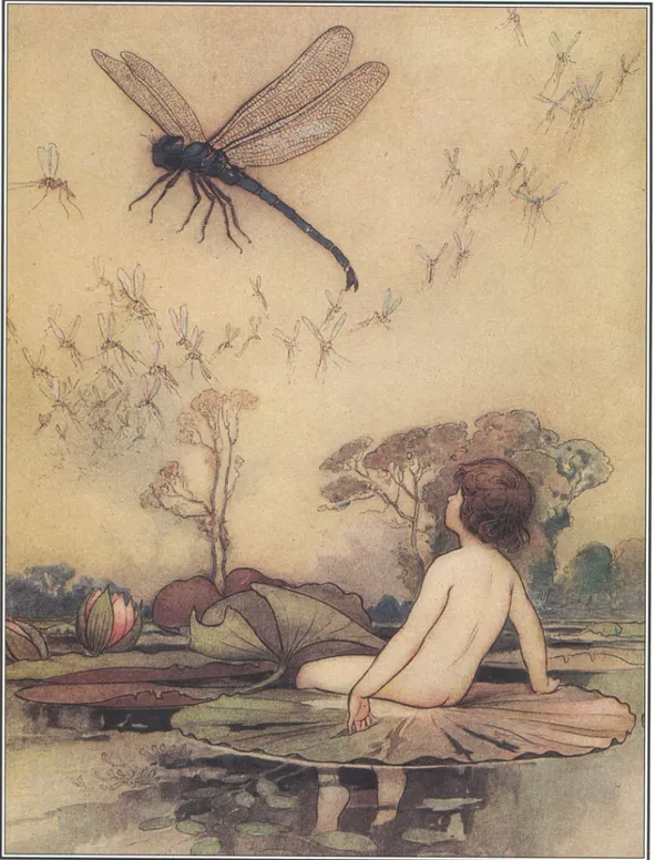 Figura 2 – Charles Kingsley, The Water Babies, Ill. Warwick Goble, Macmillan, 1909