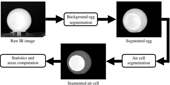 Fig. 5. Block diagram of the segmentation approach used to post-process raw IR images taken in the frontal view 