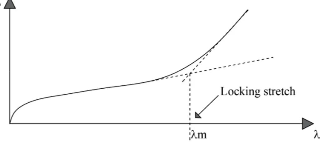 Figure 2.7 Constitutive law with locking stretch 