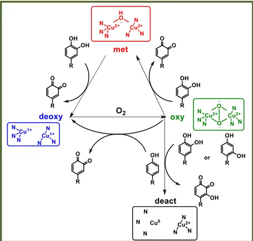 Figure 4: The four discrete oxidation states of Ty. Picture modified from reference [16]