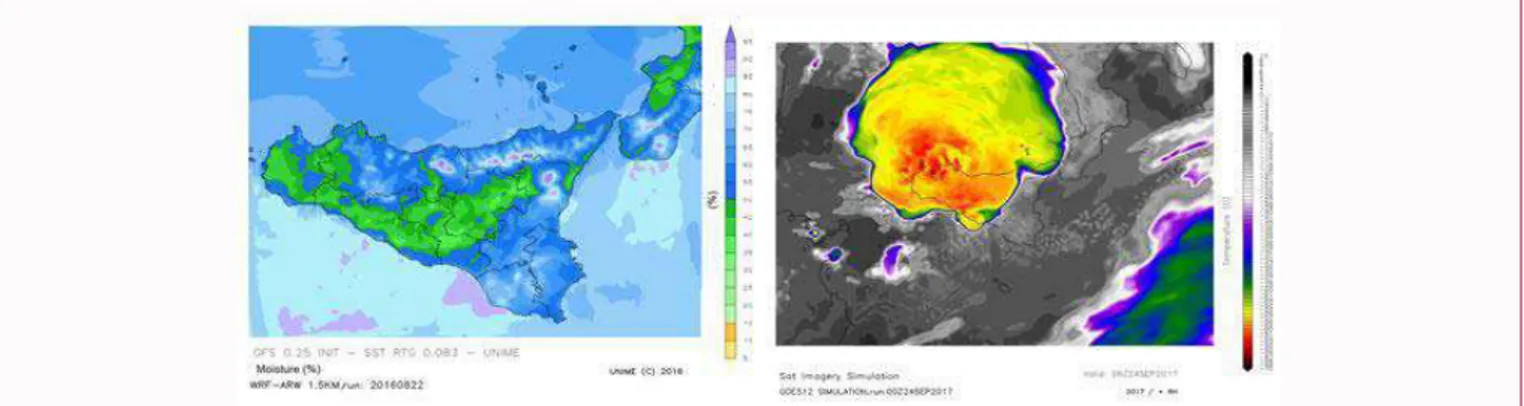 Figure 6: Forecast of humidity and cloud cover (simulation of satellite images) obtained by means of the limited area meteorological model.
