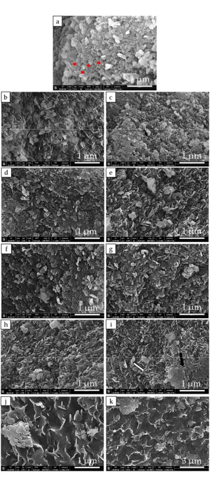 Figure 4. SEM images of investigated samples. MH (a); MH-Ca1 (b); MH-Ca2 (c); MH-Ca3 (d); MH-
