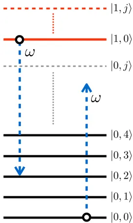 FIG. 2. Scheme of the lowest energy levels for a single op- op-tomechanical system. If the system is in the state |1,0, a resonant optical π pulse, described by the blue arrow, induces the transition |1,0 → |0,2