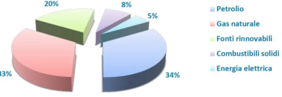 Figura  1.2.  –  Domanda  energia  primaria  per  fonte  nell’anno  2013  (Fonte  ENEA)