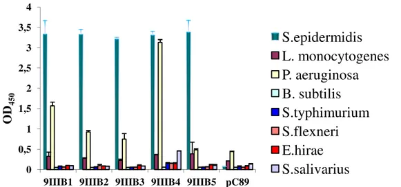Figure  1.4  Cross-reactivity  ELISA  test  for  clones  by  9-mer  random  M13  phage  display  libraries