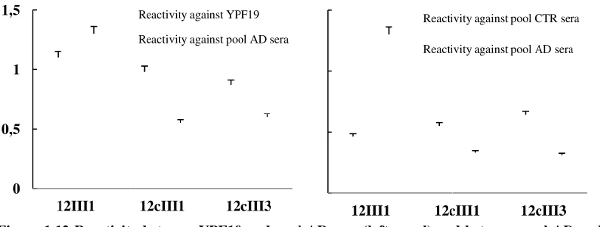 Figure 1.13 Reactivity of 12III1 against AD and healthy seraFigure 1.12 Reactivity