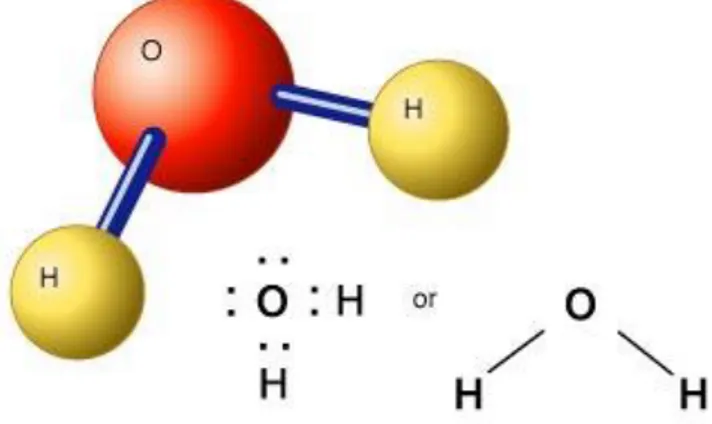 Figura 1. La molecola dell’acqua (H2O) 