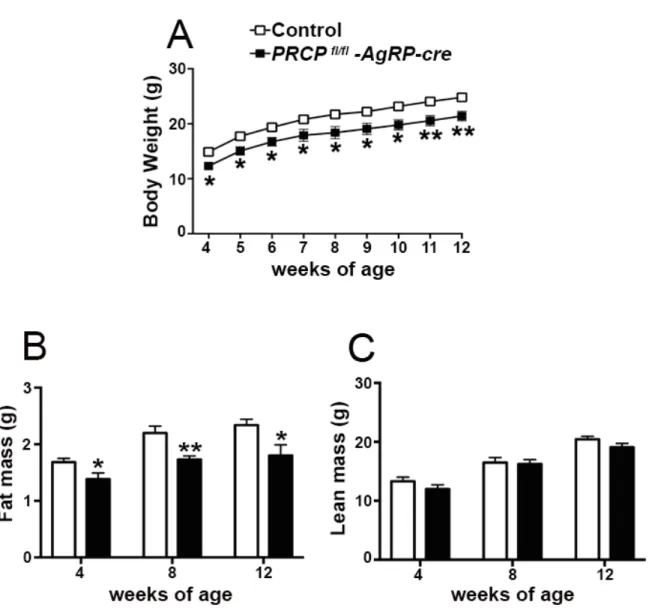 Figure	
  11:	
  Deletion	
  of	
  PRCP	
  in	
  AgRP	
  neurons	
  in	
  male	
  is	
  associated	
  with	
  a	
  leaner	
  phenotype.	
  Analysis	
  of	
  (A)	
   body	
  weight	
  (n	
  =	
  15	
  per	
  group),	
  (B)	
  fat	
  mass	
  and	
  (C)	
  le