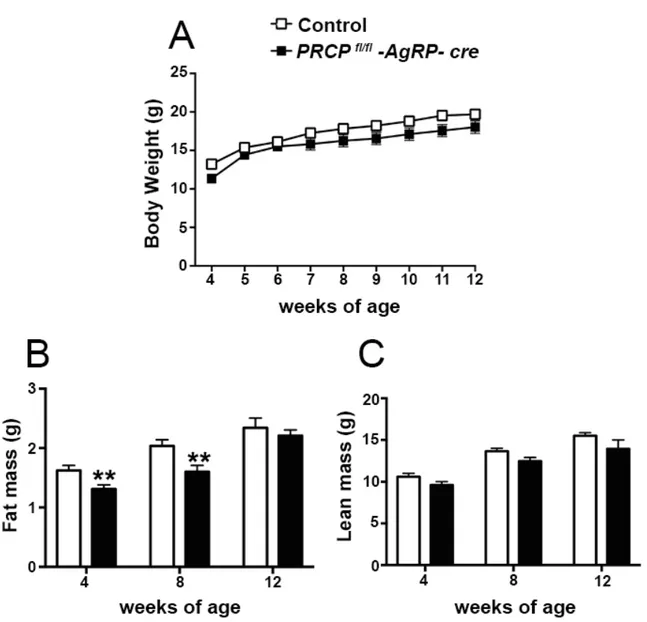 Figura	
  12:	
  Loss	
  of	
  PRCP	
  in	
  AgRP	
  neurons	
  in	
  female	
  is	
  associated	
  with	
  a	
  decrease	
  of	
  fat	
  mass.	
  Analysis	
  of	
  (A)	
   body	
  weight	
  (n	
  =	
  15	
  per	
  group),	
  (B)	
  fat	
  mass	
  and	
  (
