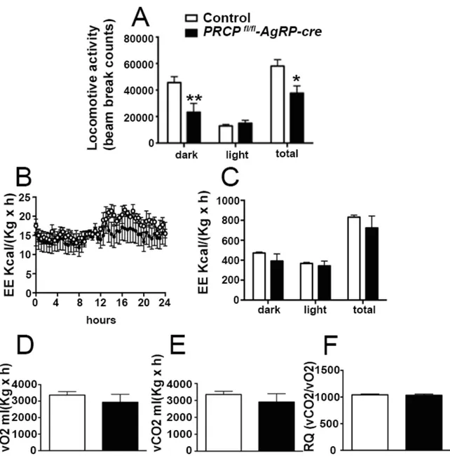 Figure	
   14	
   :	
   PRCP fl/fl -AgRP-cre  male  mice	
   have	
   decreased	
   in	
   locomotor	
   activity	
   and	
   EE.	
  	
   (A)	
   Decreased	
  