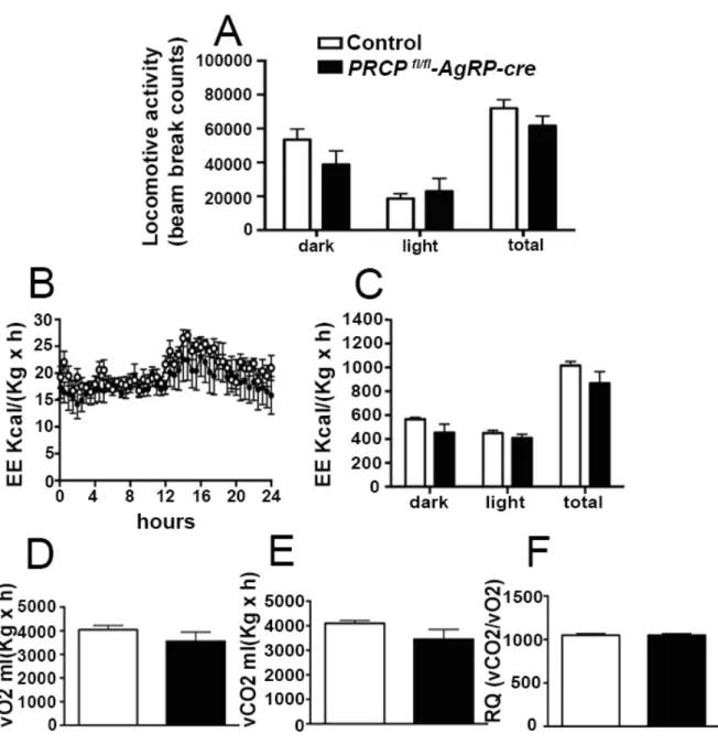 Figure	
  15: 	
   PRCP fl/fl -AgRP-cre female  mice	
  showed	
  no	
  difference	
  in	
  locomotor	
  activity	
  and	
  EE.	
  	
  (A)	
  Decreased	
  