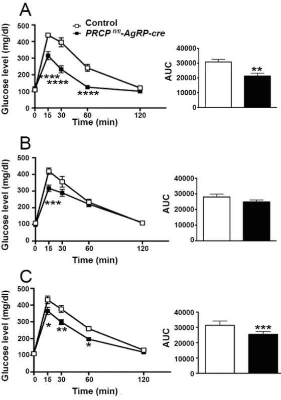 Figure	
  16:	
  PRCP fl/fl -AgRP-cre  	
  male	
  mice	
  have	
  improved	
  glucose	
  metabolism.	
  (A,B	
  and	
  C)	
  Decreased	
  glucose	
   levels	
  during	
  a	
  GTT	
  in	
  male	
  PRCP fl/fl -AgRP-cre 	
  animals	
  (n	
  =	
  15)	
  compa