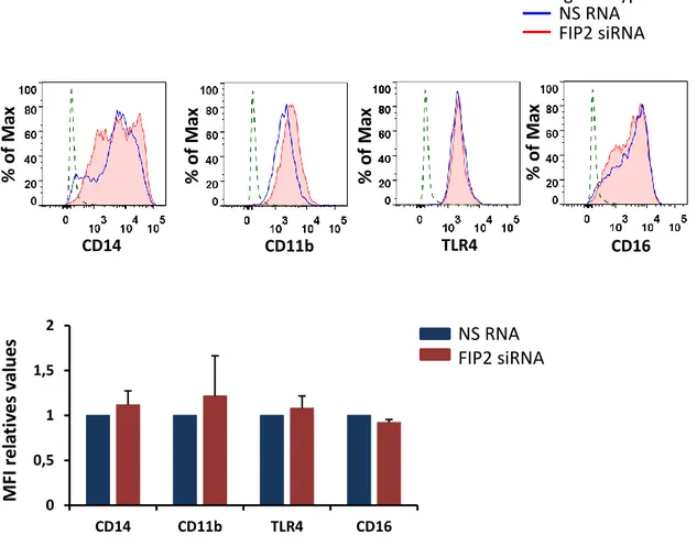 Figure  10.  Relative  quantification  of  FIP2  mRNA  by  q-PCR  in  primary  human  macrophages 