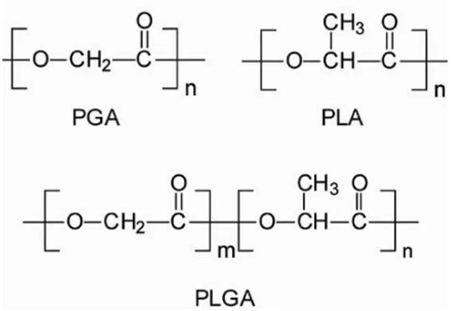 Figure 7: Chemical structure of Poly(glycolic acid) (PGA), Poly(lactic acid) (PLA) 