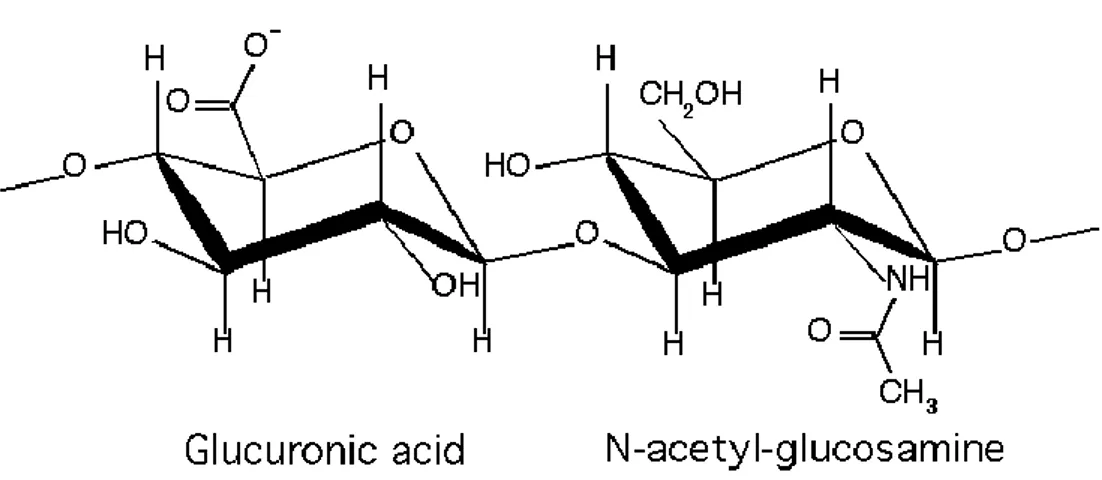 Figure 9: Chemical structure of Hyaluronic Acid 