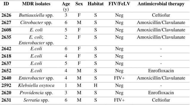 Table  9.  Clinical  data  of  n=12  cats affected by rhinitis and  harbouring 