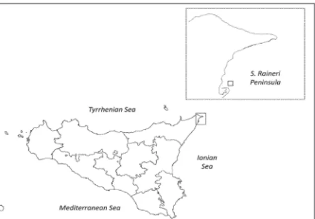 Fig. 1. S. Raineri Peninsula, Messina Italy: the □ indicates  the site where the specimens were captured (+38° 11’  38.01”, +15° 34’ 25.69”)