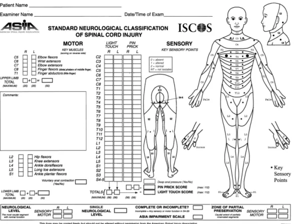 Figure 2 Standard neurological classification of spinal cord injury 