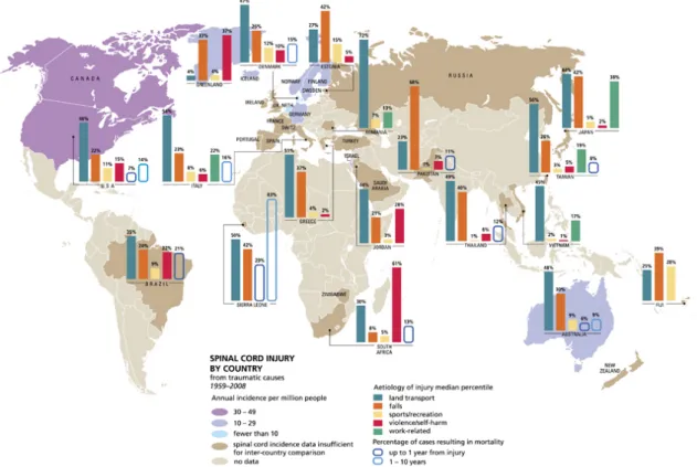 Figure 3 Global mapping of spinal cord injury from traumatic 