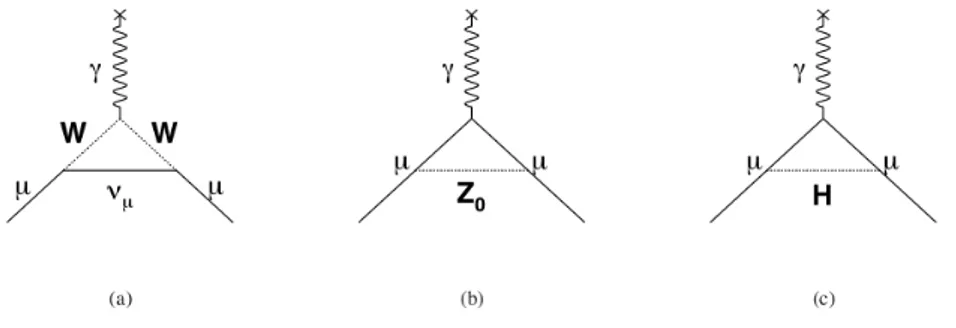 Figure 3.1: Contributions to a µ from the weak sector arise from diagrams containing