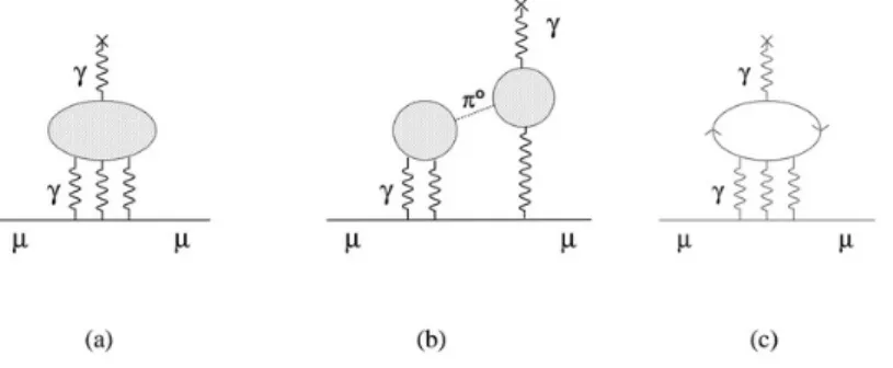 Figure 3.6: Feynman diagrams for (a) the general case of hadronic light-by-light scattering, (b) interaction involving two three-point loops connected by exchange of a pseudoscalar such as π 0 , and (c) four-point loop interaction, where the particle in th