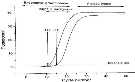 Figura  8.  Rappresentazione  schematica  dell’andamento  esponenziale  di  una  tipica  reazione  di  Real  Time  PCR