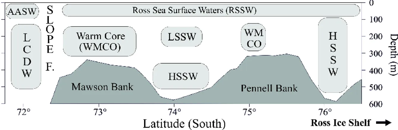 Fig. 4. Rappresentazione schematica delle masse d’acqua nel Mare di Ross. 
