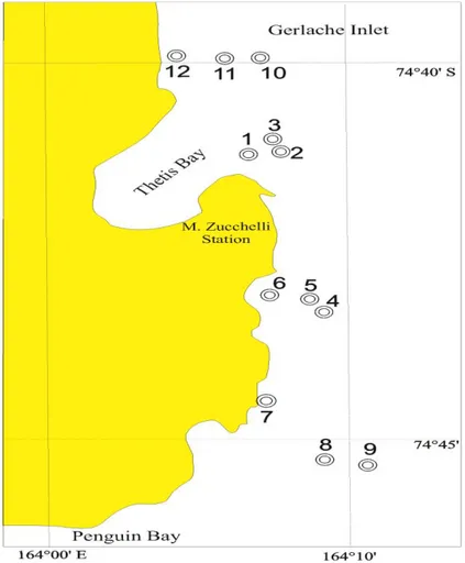 Fig.  13.  Mappa  delle  stazioni  campionate  nel  Mare  di  Ross  mediante  retino  WP2  e  retino  BONGO  durante  la 