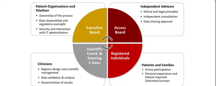 Fig. 1 Governance framework of the NMD Registry. The picture illustrates the groups of stakeholder that participate in the NMD registry and their specific roles and contribution