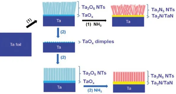 Figure 2.9: Schematic illustration of the synthesis process of Ta 2 O 5  and Ta 3 N 5  NTs