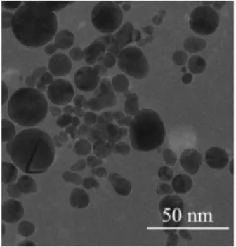 Fig. 2.9- TEM images of the synthesised Au-NPs in DW 