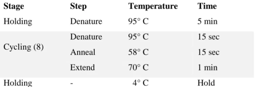 Tab. 10- Protocollo termico per la reazione di amplificazione delle fragment libraries 