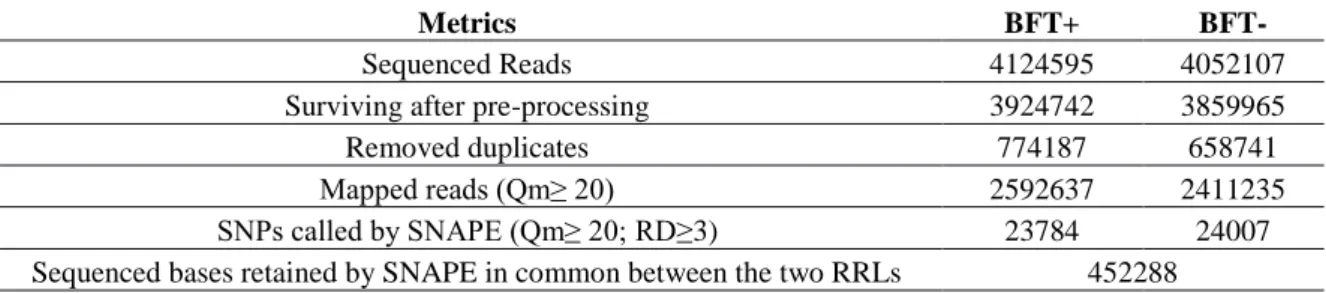 Tab. 11- Principali metriche relative al sequenziamento e SNP calling delle due RRLs di DNA pool, costruiti a 