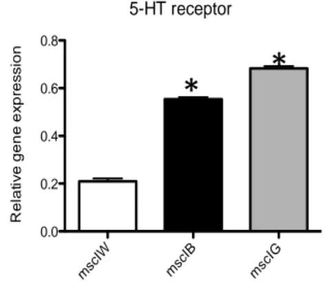 Fig 3.9. Evaluation of 5-HT receptor in the three mesocosms. * p. value&lt; 0.05 