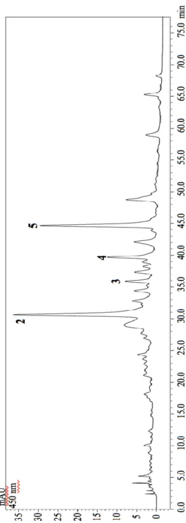 Figura 19: Profilo HPLC dei carotenoidi estratti in Raspaciona aculeata.  Per la identificazione dei picchi vedere fig