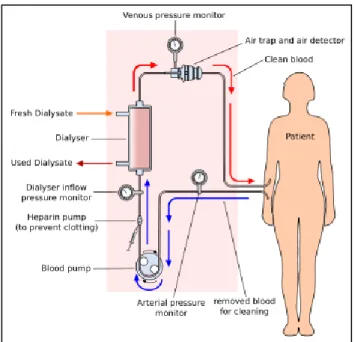 Figura 2.1 Rappresentazione schematica del meccanismo di funzionamento dell’emodialisi