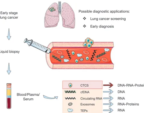 Figure 1 Tumor-derived components that can be used as liquid biopsy for genetic testing.