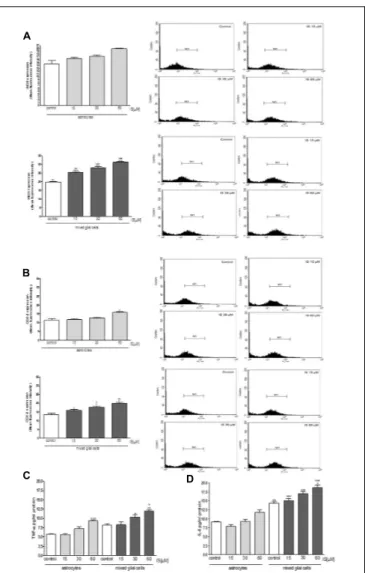 FIGURE 5 | Effect of IS (15–60 µM) on iNOS (A), COX-2 (B) expression by astrocytes and mixed glial cells