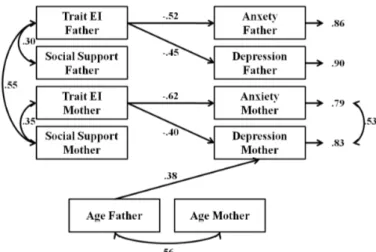 Figure 1. Actor -Partner Interdependence Model of depression and anxiety in couples