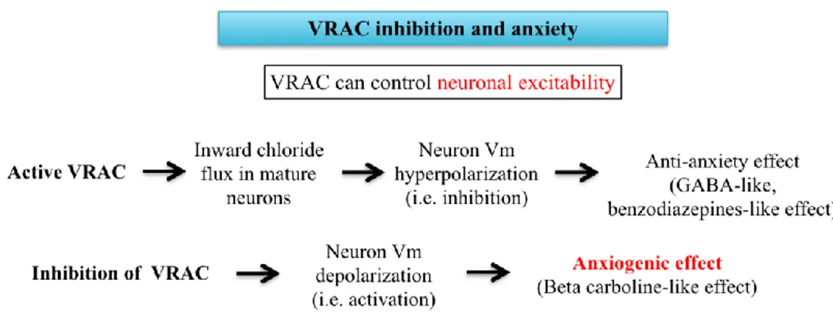 Fig. 3 Potenziale link tra i VRAC e l’ansia 