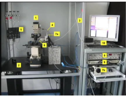 Fig. 12 Set up per patch clamp 