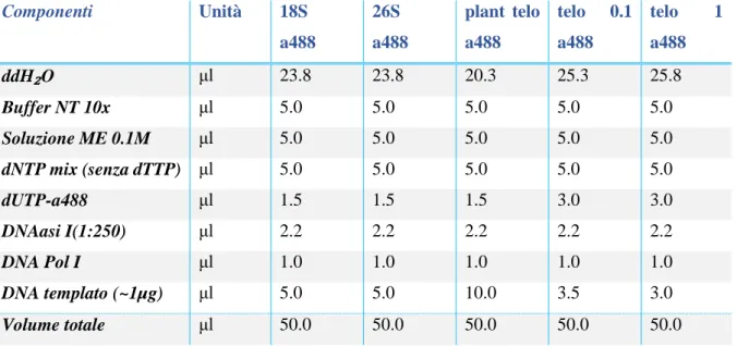Tabella 13. Componenti della miscela per l’etichettatura diretta delle sonde FISH in a488-dUTP