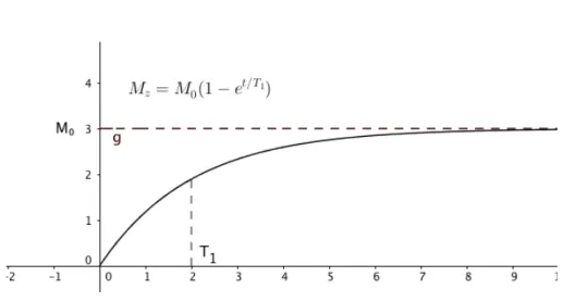 Figure 10 - Trend of magnetization M z  as a function of time (Courtesy of Dr 