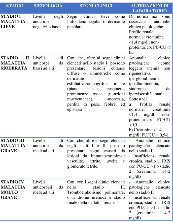 Tabella 2. Stadi della malattia (Solano-Gallego et al., 2009) 