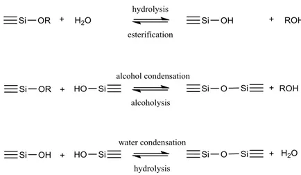 Figure 8. Silicon alkoxide hydrolysis and condensation reactions [74]. 