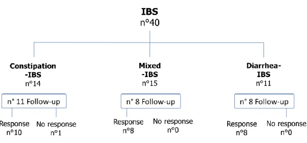 Figure III. Distribution of IBS subtypes.   IBS: irritable bowel syndrome. 